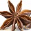 Star Anise