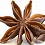 Star Anise